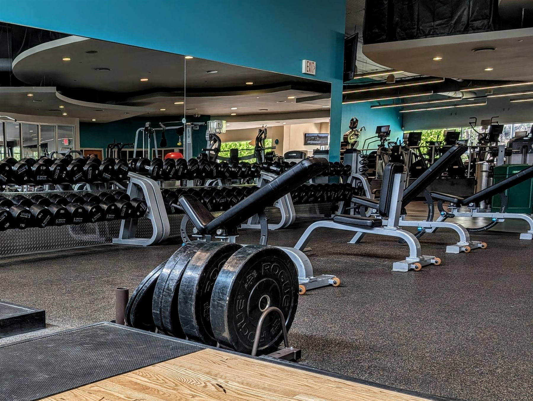Strength floor with dumbbell rows and benches at VIVE Health & Fitness